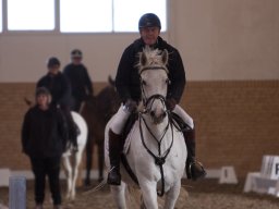 2017 Ponygames